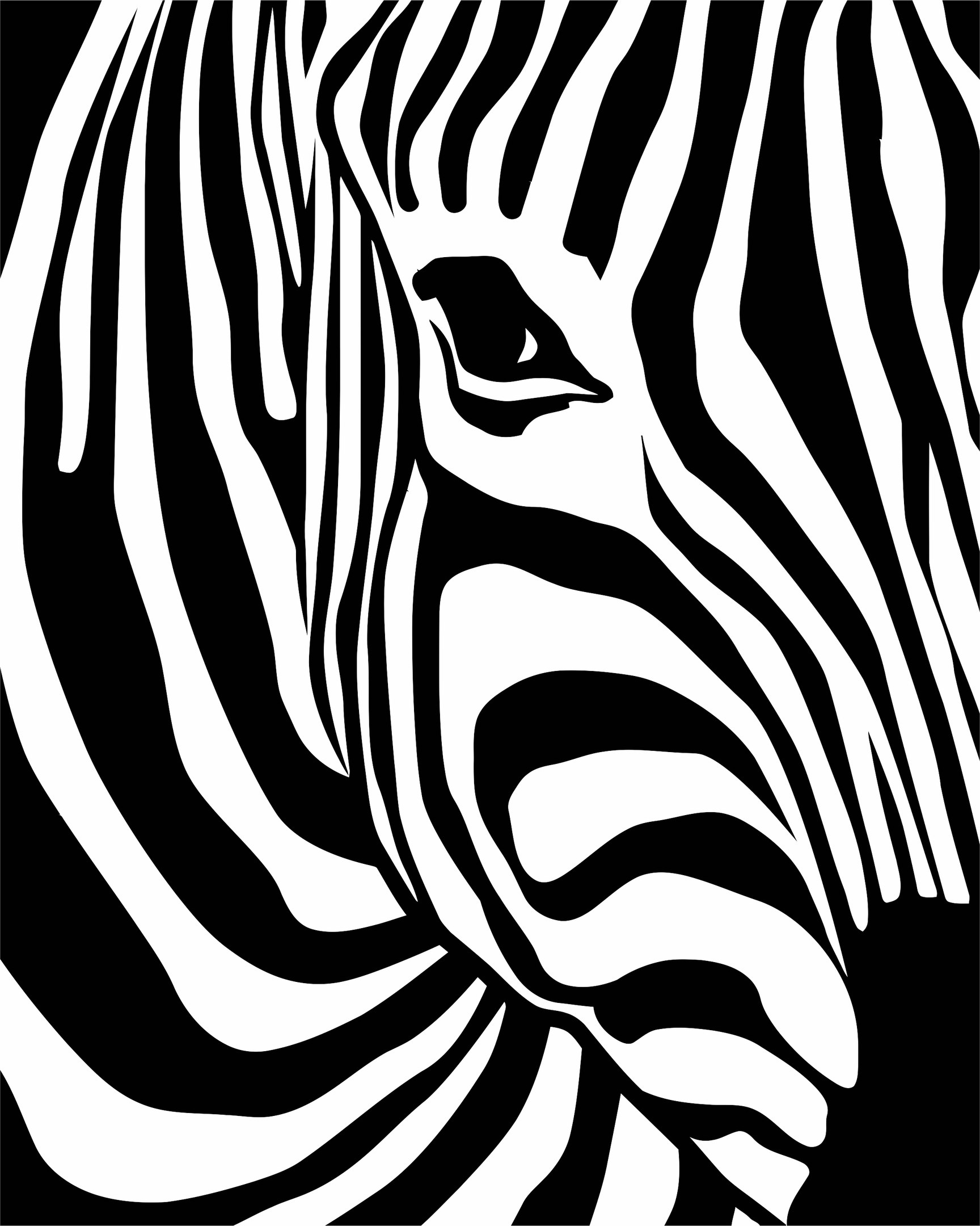 Zebra Print Free CDR Vectors Art