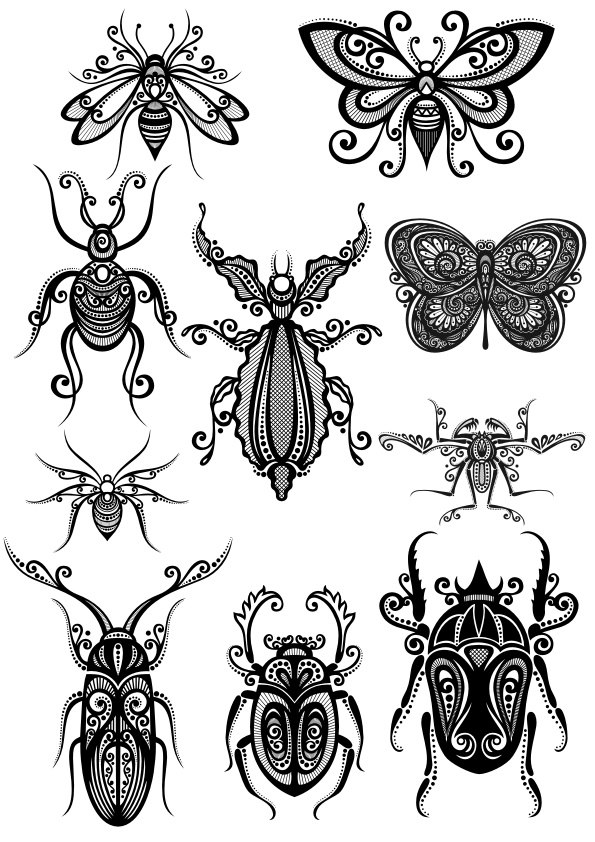 Ornament Insect Art Pack File Free CDR Vectors Art
