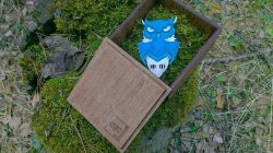 Owl Owl In Wooden Box Download For Laser Cut Free DXF File