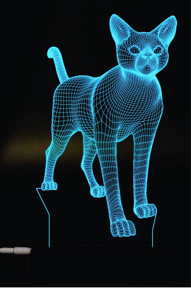 3d Illusion Lamp Cat Model Free CDR Vectors Art