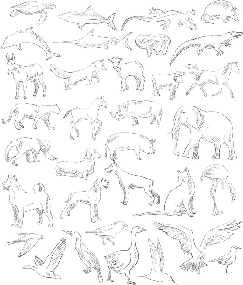 Handdrawn Animals Set Free CDR Vectors Art