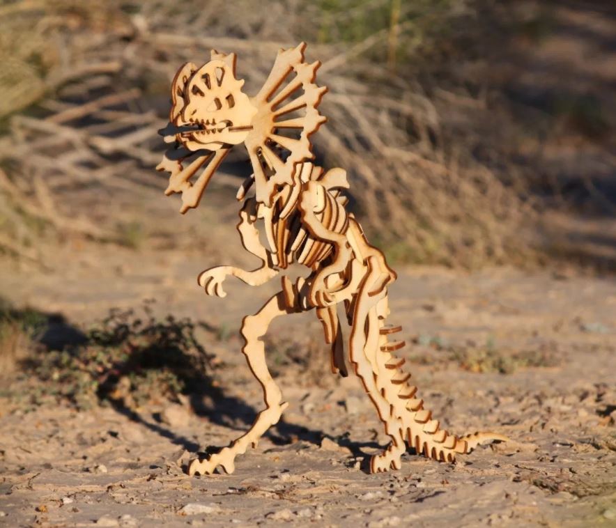 Dilophosaurus Wooden Skeleton Model Free CDR Vectors Art