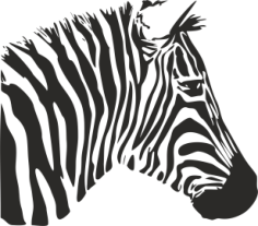 Zebra Stencil Free CDR Vectors Art
