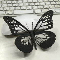 Vector Cutout Butterfly Free CDR Vectors Art
