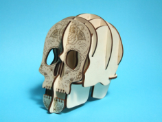 Laser Cut Skull 3d Pen Holder Free CDR Vectors Art
