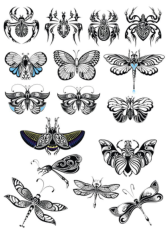 Butterfly Collection Free CDR Vectors Art
