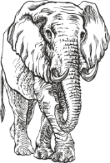Elephant Engr Free CDR Vectors Art