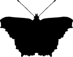 Silhouette clipart butterfly Free CDR Vectors Art