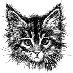 Hand Drawn Cat Free CDR Vectors Art