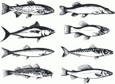 The monochrome fish Free CDR Vectors Art