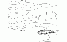 Shark 3d Puzzle Free DXF File