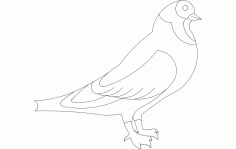 Pigeon Free DXF File