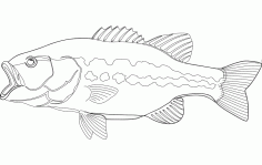 Large Mouth Bass Fish Free DXF File