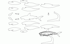 Shark Fish 3D Puzzle Free DXF File
