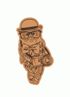 Owl Wearing Cap With Camera And Glasses Laser Cut Engraving Template Free CDR Vectors Art