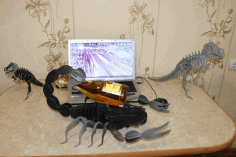 Laser Cut Scorpion Free DXF File