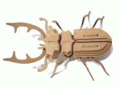 Beetle Insect 3d Puzzle 3mm Free CDR Vectors Art