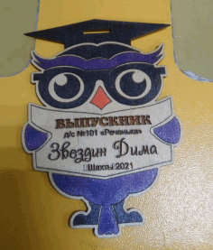 Laser Cut Owl Wooden Medal Owl Award Free DXF File