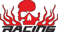 Skull Racing Logo Free CDR Vectors Art