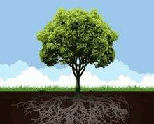 Conceptual Tree With Root And Grass Clip Art Free CDR Vectors Art