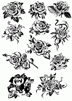 Flowers Roses  Collection Free CDR Vectors Art
