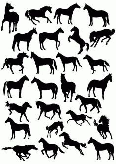 Horse Silhouette  Collection Free CDR Vectors Art